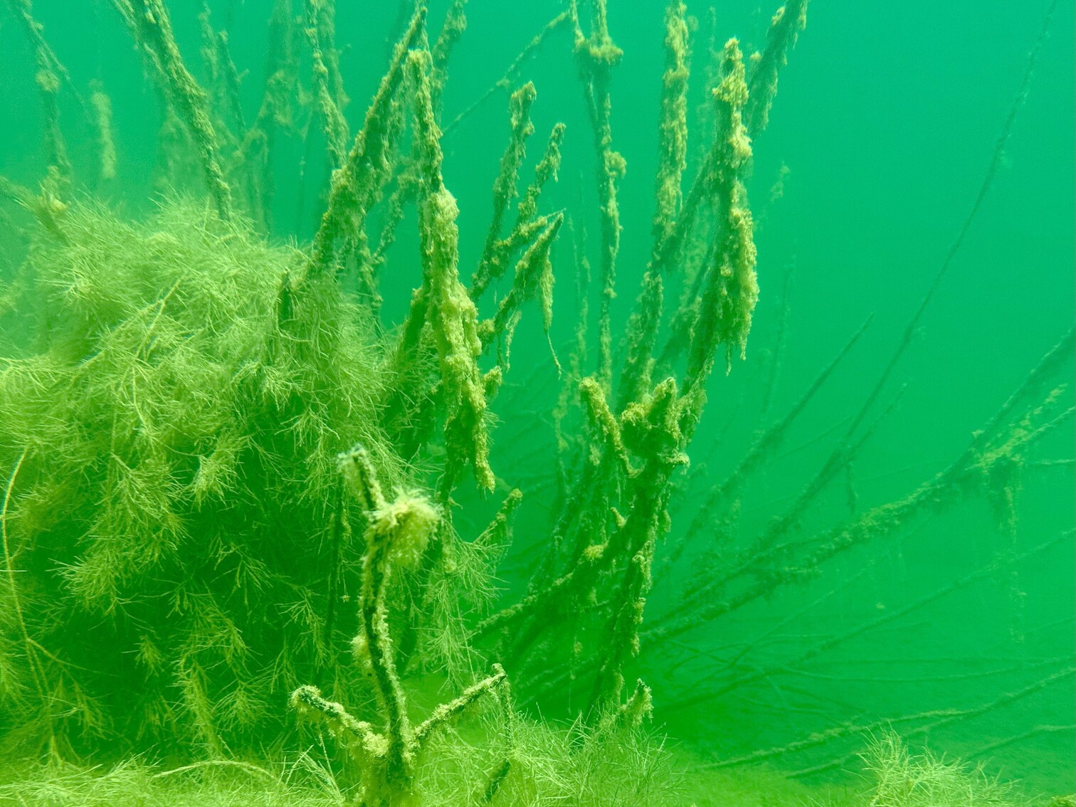 20250810_115922268_iOS